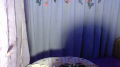 Snapshot of sexykagura chatting on 22, 5, 2026 Kagura3 online show from 22, 5, 2026