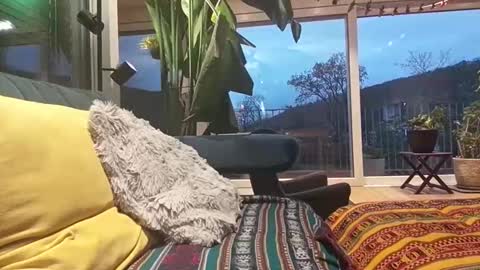 sexylover81ch online show from 12, 4, 2026