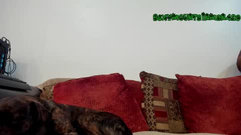 Snapshot of sexymountainman420 chatting on 16, 4, 2026 Sexymountainman420 online show from 16, 4, 2026