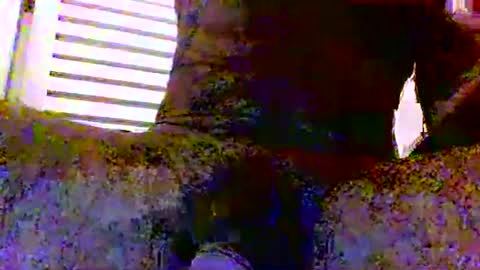 Snapshot of sexynudistdaddycockm chatting on 24, 11, 2025 sexynudistdaddycockm online show from 24, 11, 2025