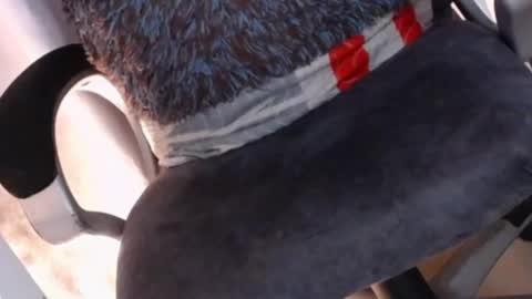    online show from 7, 2, 2025