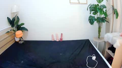 Snapshot of sexytrixie11 chatting on 22, 6, 2026 sexytrixie11 online show from 22, 6, 2026