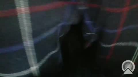 sgtcumhardjaxfl online show from 6, 2, 2025