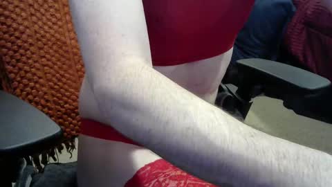 shadow_puppet online show from 28, 3, 2026