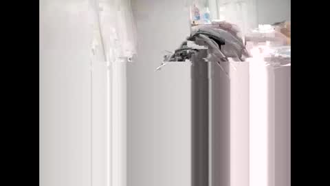 shagnasty95 online show from 9, 4, 2026