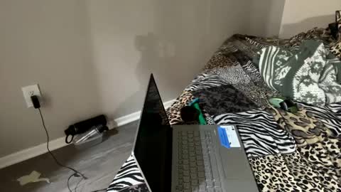 Snapshot of shamanwoman chatting on 2, 12, 2024 Shaman Woman online show from 2, 12, 2024