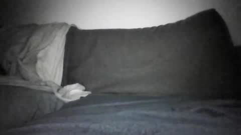 Snapshot of shamefullyshort chatting on 17, 12, 2025 Shorty online show from 17, 12, 2025