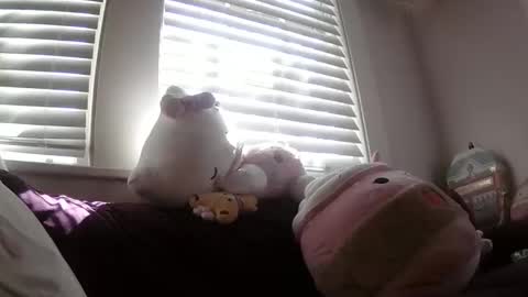 Snapshot of shampooprincess001 chatting on 21, 3, 2026 shampooprincess001 online show from 21, 3, 2026