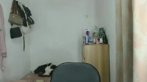 bini aiah online show from 23, 12, 2025