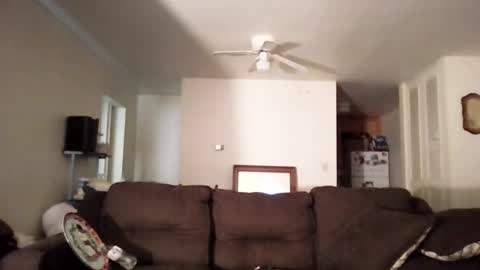 shanelllovings online show from 17, 5, 2026