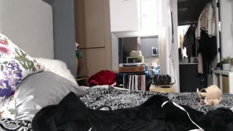 Shannon07 online show from 13, 1, 2025