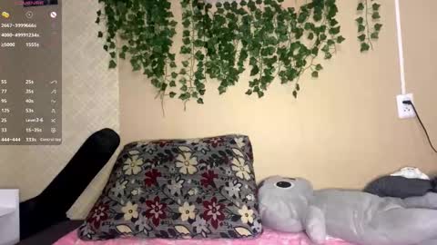 Kristin online show from 9, 11, 2025