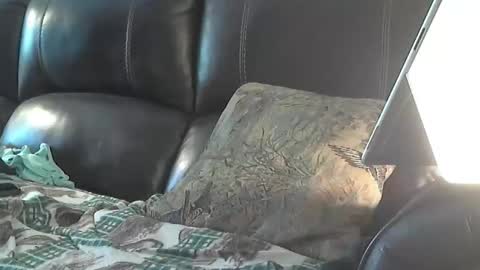 Sharkey644 online show from 26, 3, 2026