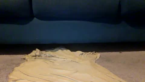 shazbot84 online show from 10, 4, 2026