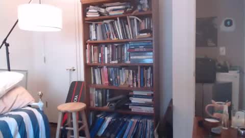 sheepishlion online show from 7, 12, 2024