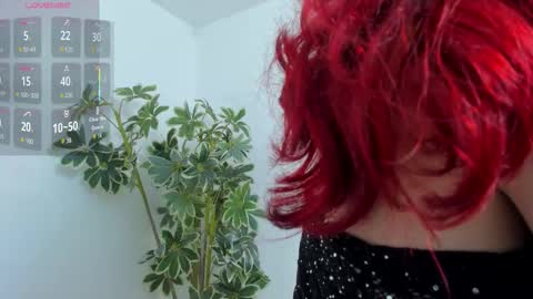 Shego  online show from 19, 12, 2025