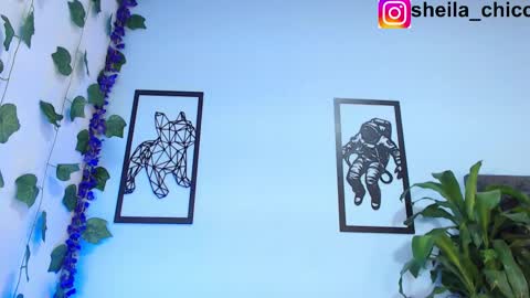 SHEILA  online show from 26, 2, 2025