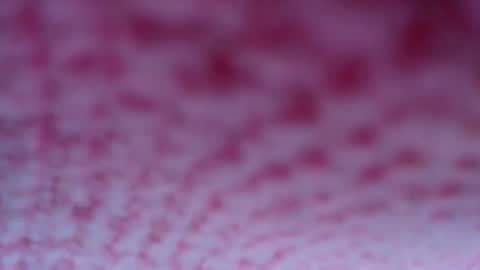 shelsyzevee_ online show from 23, 10, 2025