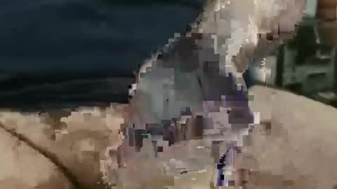 Snapshot of showsme chatting on 22, 9, 2025 showsme online show from 22, 9, 2025