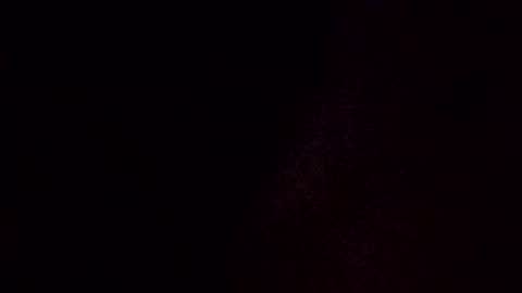 showstper online show from 13, 11, 2025