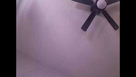 showuthed online show from 20, 4, 2026