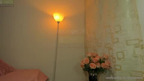 Snapshot of shy_angel_30 chatting on 4, 8, 2026 Angel online show from 4, 8, 2026