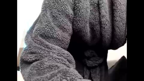 Sheril  online show from 6, 3, 2026