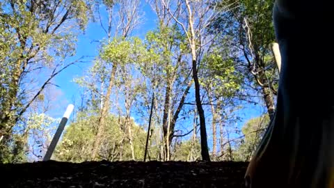 Aurora Wolfe  Shy College Girl  Top 16 of all OF Creators online show from 11, 1, 2025