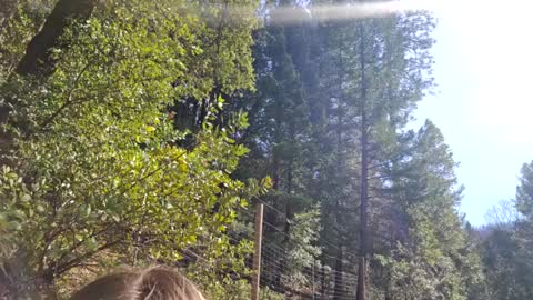 Aurora Wolfe  Shy College Girl  Top 16 of all OF Creators online show from 10, 2, 2025