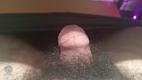 Snapshot of shyguy115935 chatting on 19, 10, 2025 me online show from 19, 10, 2025