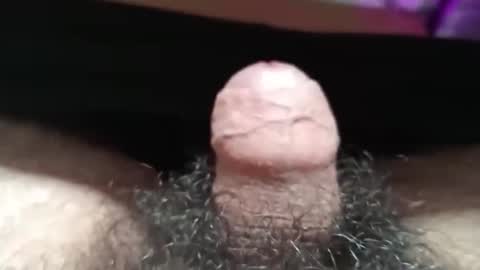 Snapshot of shyguy115935 chatting on 26, 10, 2025 me online show from 26, 10, 2025