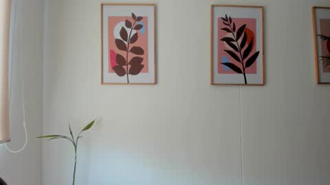 Snapshot of shylittlebunny chatting on 11, 2, 2026 shylittlebunny online show from 11, 2, 2026