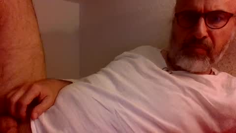 Snapshot of siddharta442 chatting on 23, 6, 2026 siddharta442 online show from 23, 6, 2026