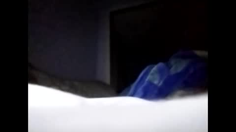 sil15nissan online show from 27, 3, 2026