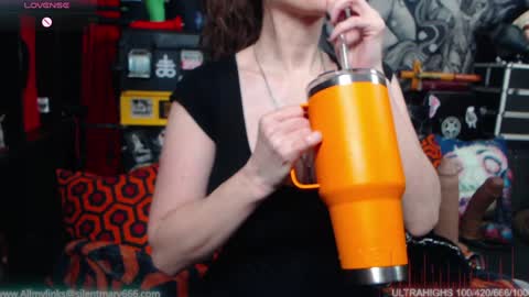 Allmylinkssilentmary666 online show from 21, 1, 2025