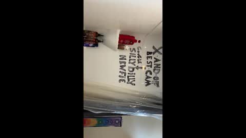 Snapshot of sillydillynewfie chatting on 22, 6, 2026 Silly Dilly Newfie online show from 22, 6, 2026