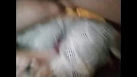 Snapshot of sinbook611 chatting on 23, 10, 2025 sinbook611 online show from 23, 10, 2025