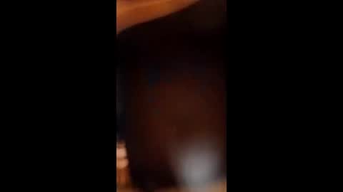 sissybottomcock online show from 4, 12, 2025