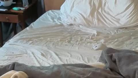 Sissy Submissive online show from 18, 4, 2026