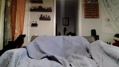 sissyemmalauren online show from 13, 11, 2025