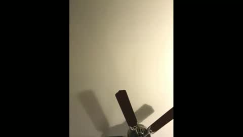 sissynovaholes online show from 4, 1, 2025