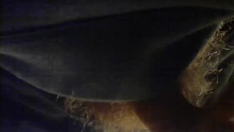 Snapshot of sjim368 chatting on 2, 12, 2025 sjim368 online show from 2, 12, 2025