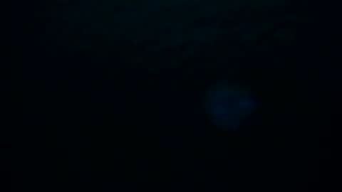 Skarlet online show from 8, 10, 2025