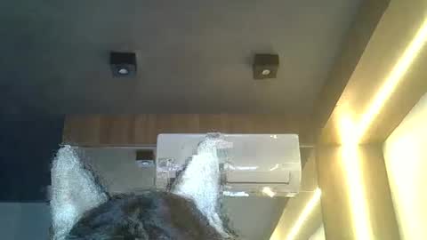 Snapshot of skinnykittencam chatting on 8, 2, 2026 skinnykittencam online show from 8, 2, 2026