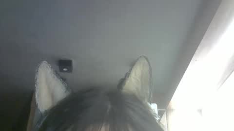 Snapshot of skinnykittencam chatting on 26, 2, 2026 skinnykittencam online show from 26, 2, 2026