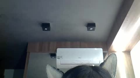 Snapshot of skinnykittencam chatting on 2, 3, 2026 skinnykittencam online show from 2, 3, 2026