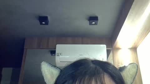 skinnykittencam online show from 17, 4, 2026