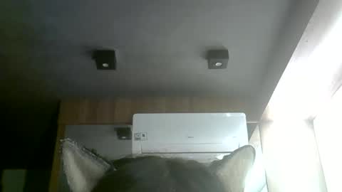 Snapshot of skinnykittencam chatting on 1, 6, 2026 skinnykittencam online show from 1, 6, 2026