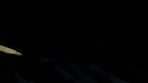 skinnypole6 online show from 4, 12, 2024