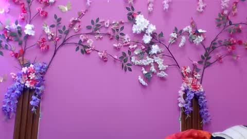 sofia online show from 1, 12, 2025